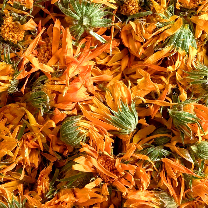 Calendula